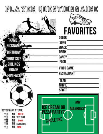 Player Questionnaires